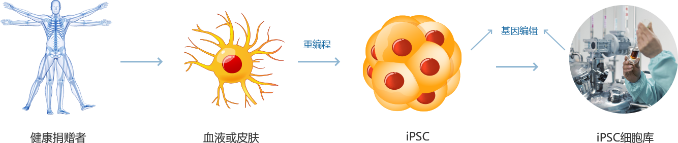 iPSC 重编程