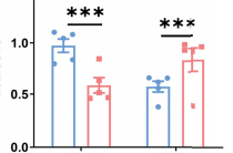 qPCR